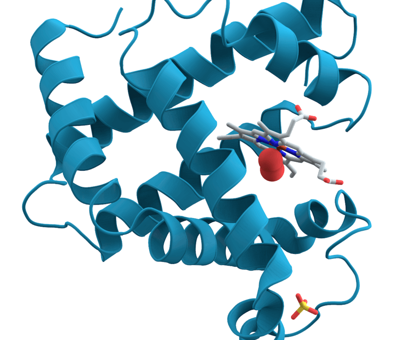 Digestion and Stomach Acid Imbalances
