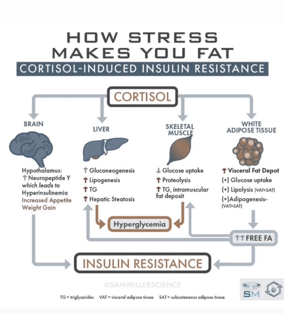 Insulin resistance and stress