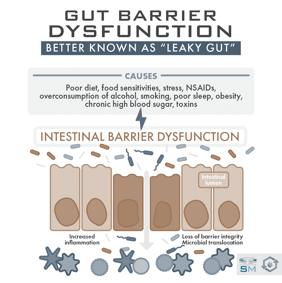 Gut barrier dysfunction also known as leaky gut. Text: causes: poor diet, food sensitivities, stress, NSAIDs, overconsumption of alcohol, smoking, poor sleep, obesity, chronic high blood sugar toxins. Image of intestinal barrier showing bacteria getting through permiated intestine.