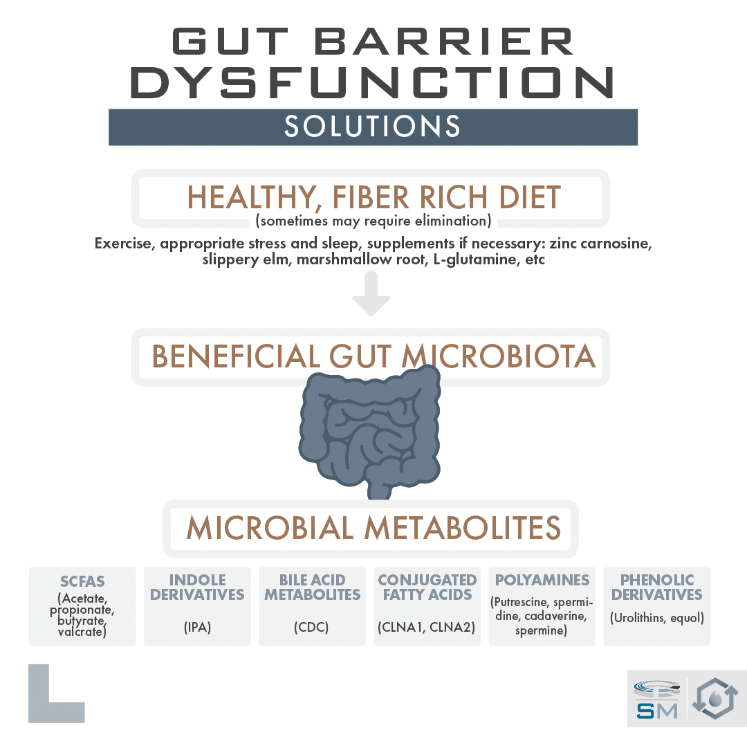 Gut barrier dysfunction (aka leaky gut syndrome) solutions. Image of intestine and text that says healthy, fiber rich diet arrow pointing to text that says beneficial gut microbiota leads to microbial metabolites