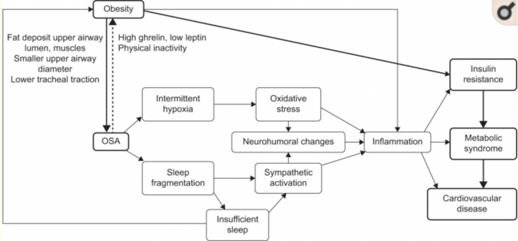 Chart showing how sleep impacts health